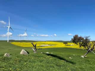  Collector Wind Farm delivers first clean energy
