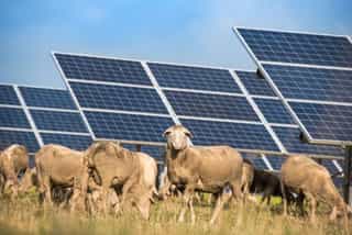 Marulan Solar Farm Development Approval